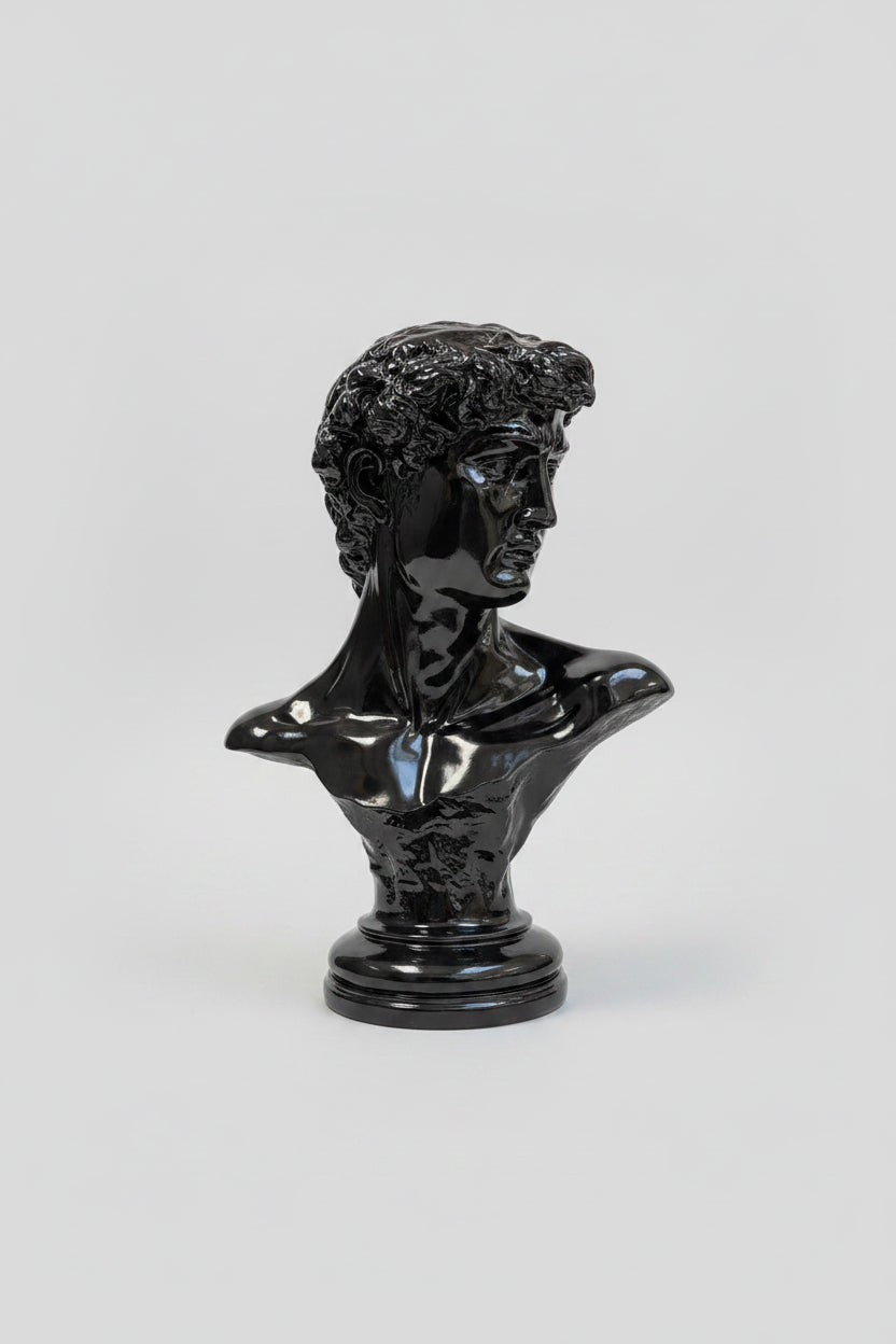David Bust XXL – Black Edition