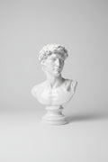 David Bust XXL – White Edition