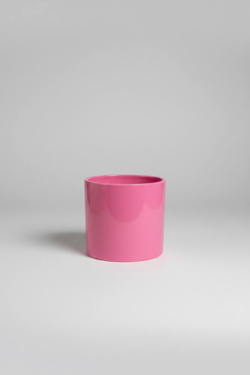 Pink Gloss Planter – Modern Living Edition